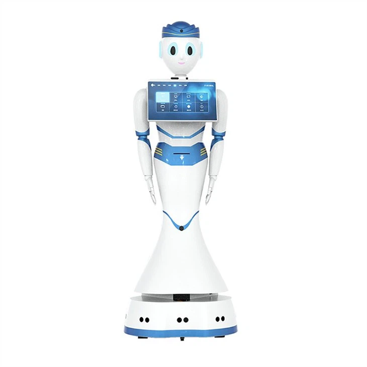 Commercial humanoid reception service robot factory