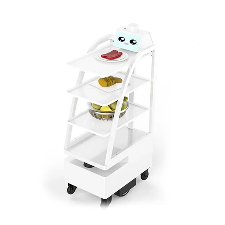 Restaurant Delivery Robot best