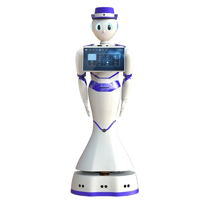 Exhibition hall service humanoid robot